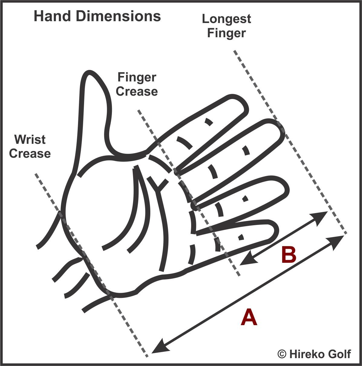 Hand Size Measurements