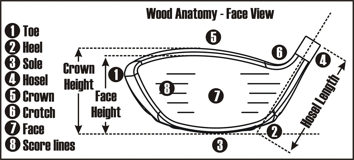 face view diagram of the anatomy of a wood golf club