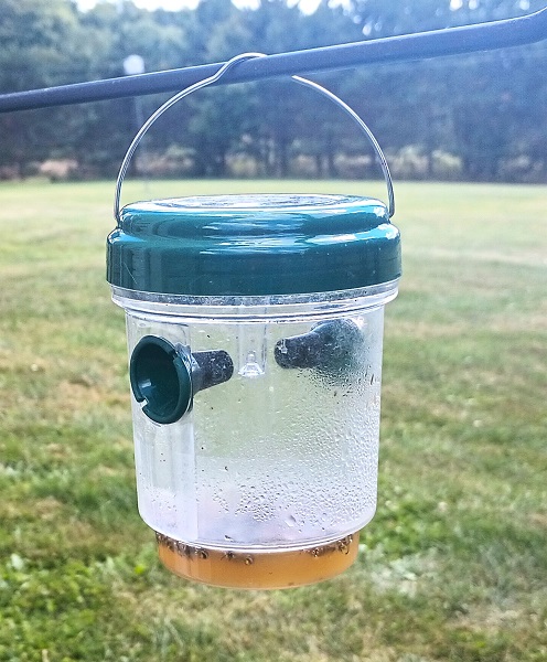 yellow jacket trap with golf ferrules to reduce hole size